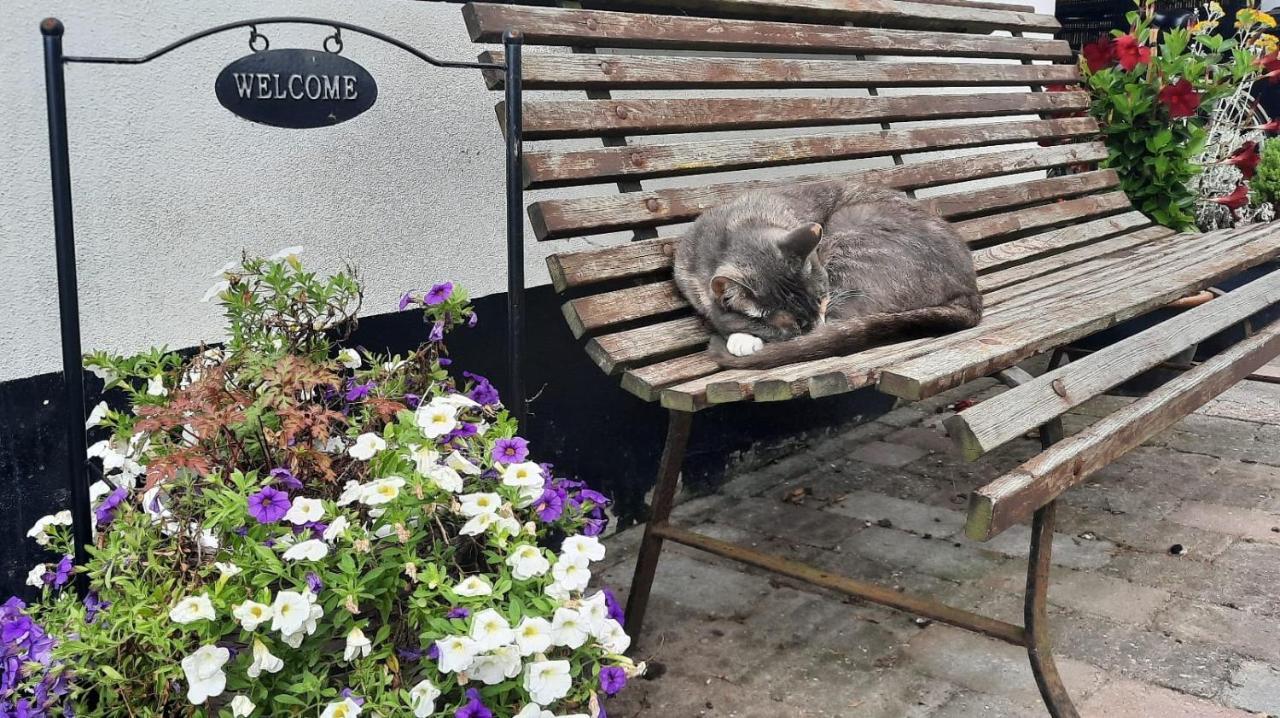 Rustiek Andijk Bed & Breakfast エクステリア 写真