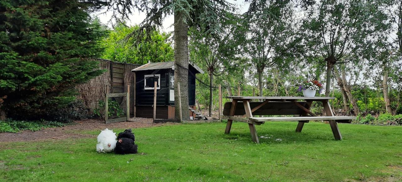 Rustiek Andijk Bed & Breakfast エクステリア 写真